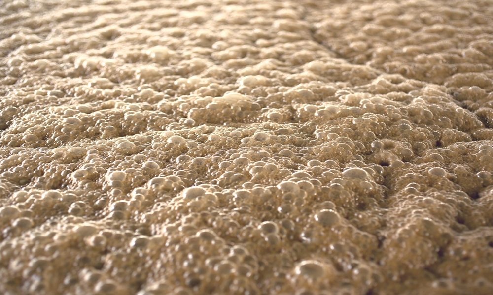 Fermentation Antifoams
