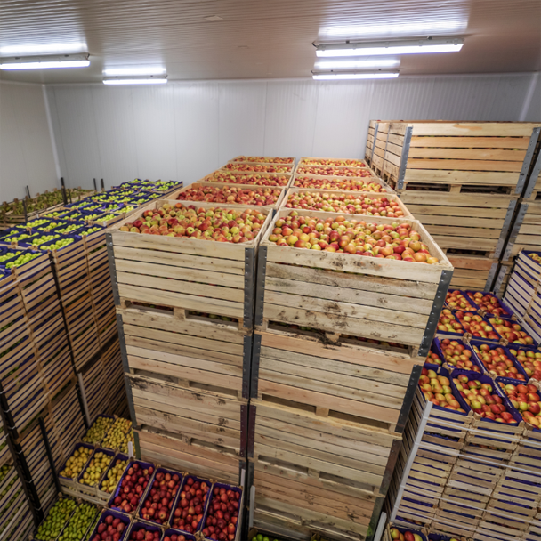 Crates of apples stacked in efficient temperature control storage
