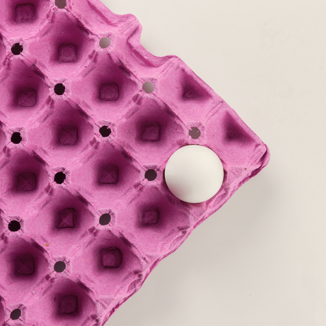 Momentive Performance Materials Packaging & Converting Egg in carton