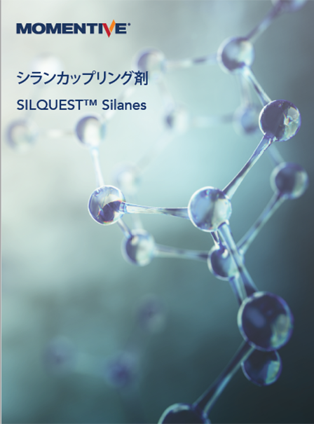 silquestimage